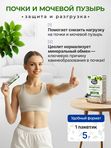 Цеолит пищевой в саше 80 шт по 5 грамм, 400 грамм