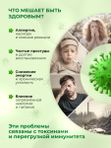 Цеолит  пищевой в саше 40 шт по 5 грамм, 200 грамм