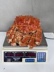 Целый Камчатский краб 🦀🎁