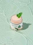 Лёгкий успокаивающий крем с полынью Round Lab Mugwort Calming Cream 80 мл