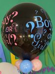 Boy or Girl manji