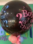 Boy or Girl veći
