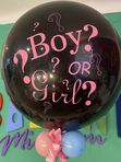 Boy or Girl veći