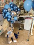 Medo Air Balloon