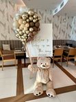 Medo Air Balloon