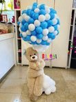 Medo Air Balloon