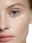 SHIK Perfect concealer консилер