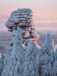 3 января. Помяненный. Каменный дракон Пармы