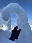 3 января. Помяненный. Каменный дракон Пармы