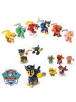 Kinder Joy Paw Patrol [Китай]
