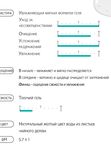 Очищающий гель для проблемной кожи с 59% чайного дерева Derma Factory