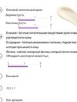 Антивозрастной крем со спикулами и бакучиолом Derma Factory