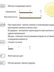 Гидрофильное масло с 5% масла жожоба Derma Factory