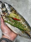 Скумбрия со специями замороженная