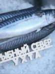 Скумбрия свежемороженая
