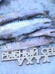 Ряпушка свежемороженая
