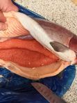 ОХЛАЖДЕННАЯ Икряная Форель ПОД ЗАКАЗ