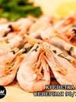 Северна
