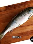 Нерка, дикая свежего улова