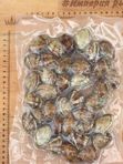 Моллюск венерка (вонголе)в/м, 500гр