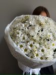 Букет Ромашковая долина