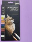 Карандаши цветные Естественный 12 цветов для художественных работ Феникс + кк 48373