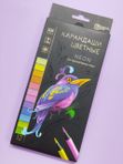 Карандаши цветные Неон 12 цветов для художественных работ  Феникс + кк 48370