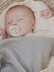 100216 Соска-пустышка BIBS Colour Ivory слоновая кость (0-6мес)