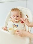 15071 Набор ложка вилка (cream and light brown) Happy Baby (12мес+) распродажа