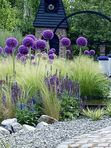 Ландшафтный дизайн