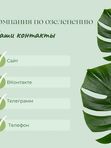 Консультация по уходу за растениями