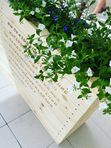 Кашпо из дерева