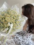 Букет из 19 кустовых ромашек
