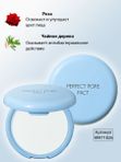 Компактная пудра для кожи с расширенными порами THE SAEM Saemmul Perfect Pore Pact