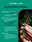 Крем с экстрактами сосны и центеллы для проблемной кожи Round Lab Pine Calming Cica Cream, 50ml
