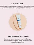 Тонирующий солнцезащитный крем Round Lab Birch Juice Moisturizing Tone-Up Sunscreen SPF50+ PA++++