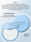Компактная пудра для кожи с расширенными порами THE SAEM Saemmul Perfect Pore Pact