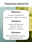 W.Dressroom Натуральный Ароматизатор для одежды и дома Парфюмерный спрей № 45 Morning Rain 70 мл
