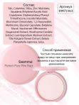 Розовая компактная пудра для чувствительной кожи THE SAEM Saemmul Perfect Pore Pink Pact