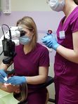 Консультация терапевта