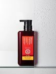Восстанавливающий шампунь для поврежденных волос Daeng Gi Meo Ri Ohyeon Premium For Damaged Hair Sha
