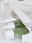 Travel-набор средств с экстрактом нони Celimax The Real Noni Starter Kit