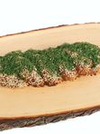 Svētku ar dārzeņu, tofu siera pildījumu ar sieru un sēkliņām