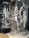 Новогодний клош Олень