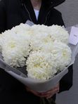 Пудровые облака
