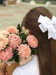 Композиция с астрами Barbie