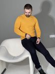 Свитшот-водолазка