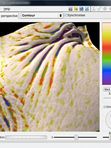 Консультация по косметологии и 3D диагностика кожи