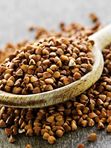 BUCKWHEAT