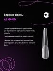 Monami Верхние формы Almond